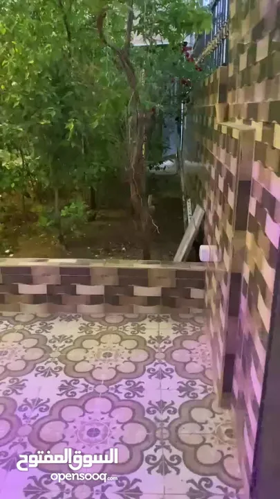عمارة كاملة للبيع في الهاشمي الشمالي حي الزغاتيت شارع البطحاء بجوار مدرسة عين كارم