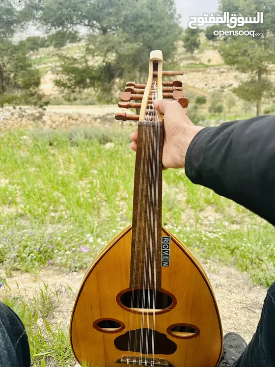 عود عراقي للبيع