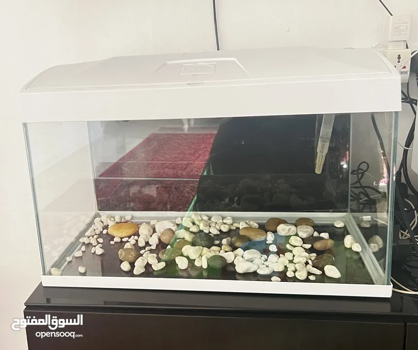 حوض سمك كالجديد / fish tank like new