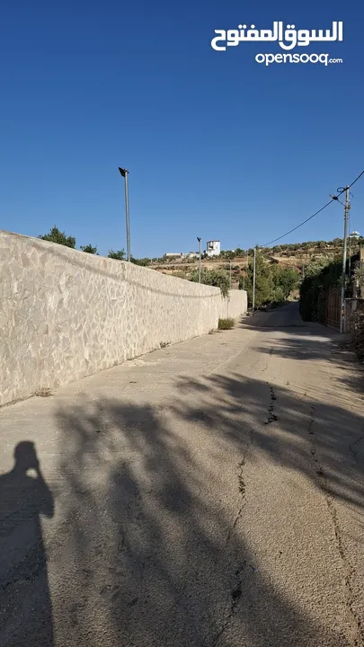 مزرعة وشاليه في جرش