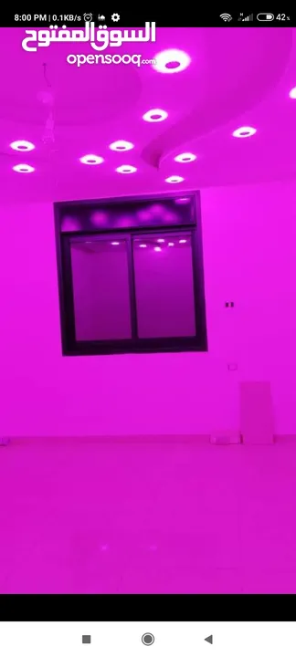 شقة للايجار