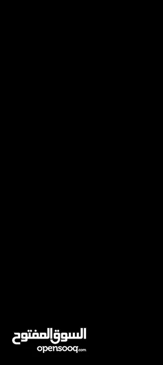 ارانب للبيع