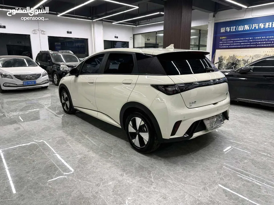 BYD Dolphin دولفين 2023 اعلى فئة