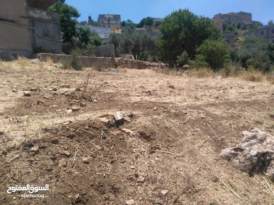 ارض للبيع في عجلون (صخرة)