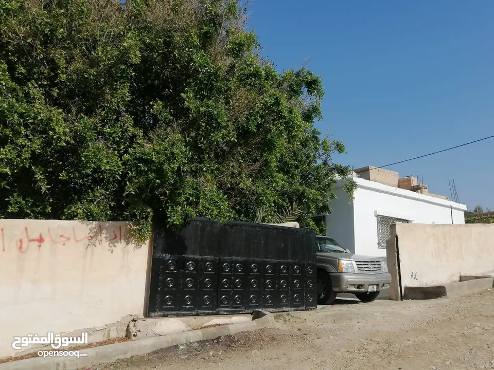 بيت مزرعة (ترخيص سكن) مزروعة شجر مثمر مع بير في منطقة الاغوار الوسطى ظهرة الرمل