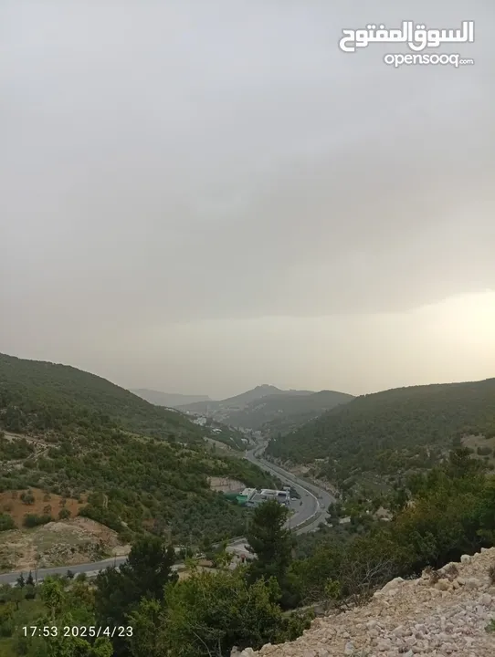 بيت العز والكرم