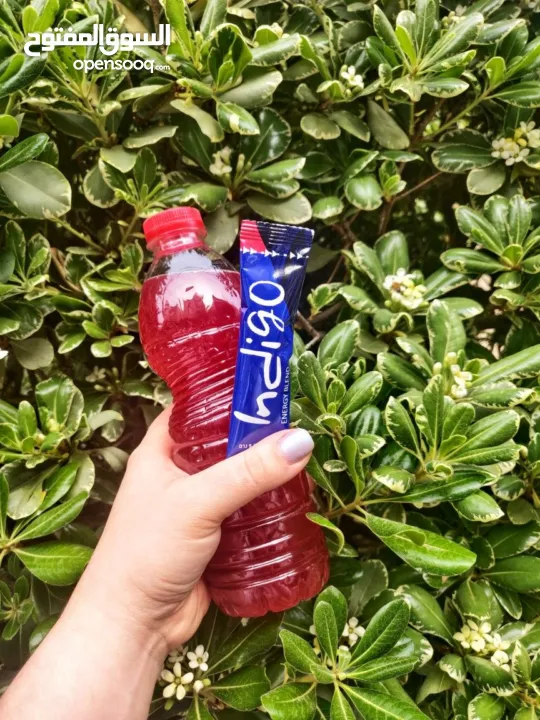 مشروب Indigo طبيعي غني بالمكونات النباتية  Indigo مشروب نباتي لتعزيز النشاط  مشروب صحي بنكهة طبيعية