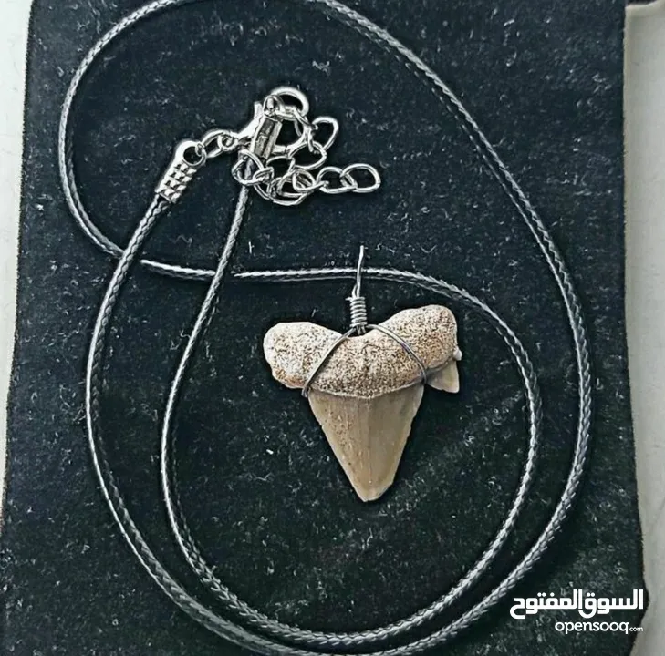 Italian silver necklace with wire wrapped ancient shark tooth fossil + free leather rope