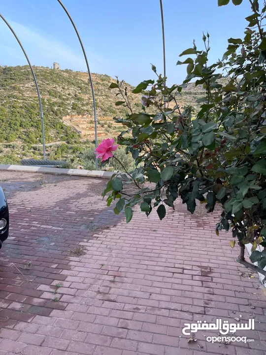 بيت مستقل بسلفيت   مساحة 1530 بحديقة رائعة