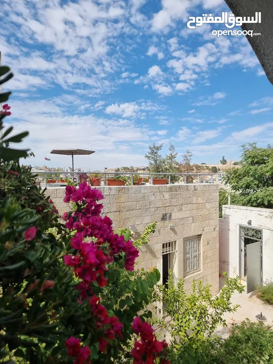 ستديو للايجار ( Property 39474 )-175093980