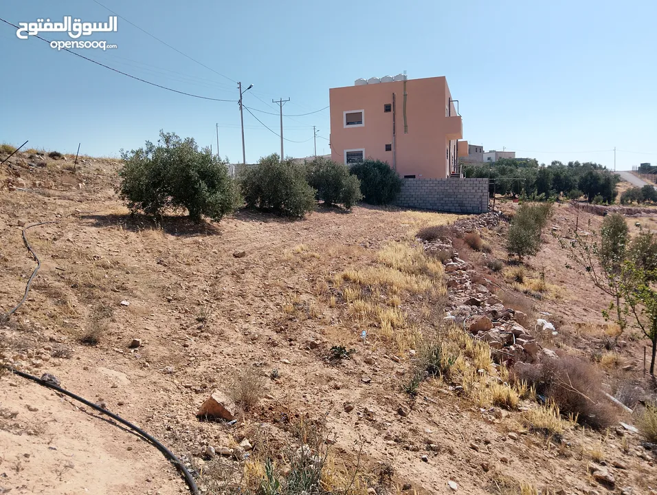 لقطة ؛ أرض زراعية مع غرفة على حدود الطفيلة والكرك ، تصلح للاستثمار كمزرعة سياحية أو منتجع سياحي