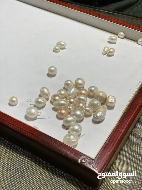 Indian Ocean pearl for sale.