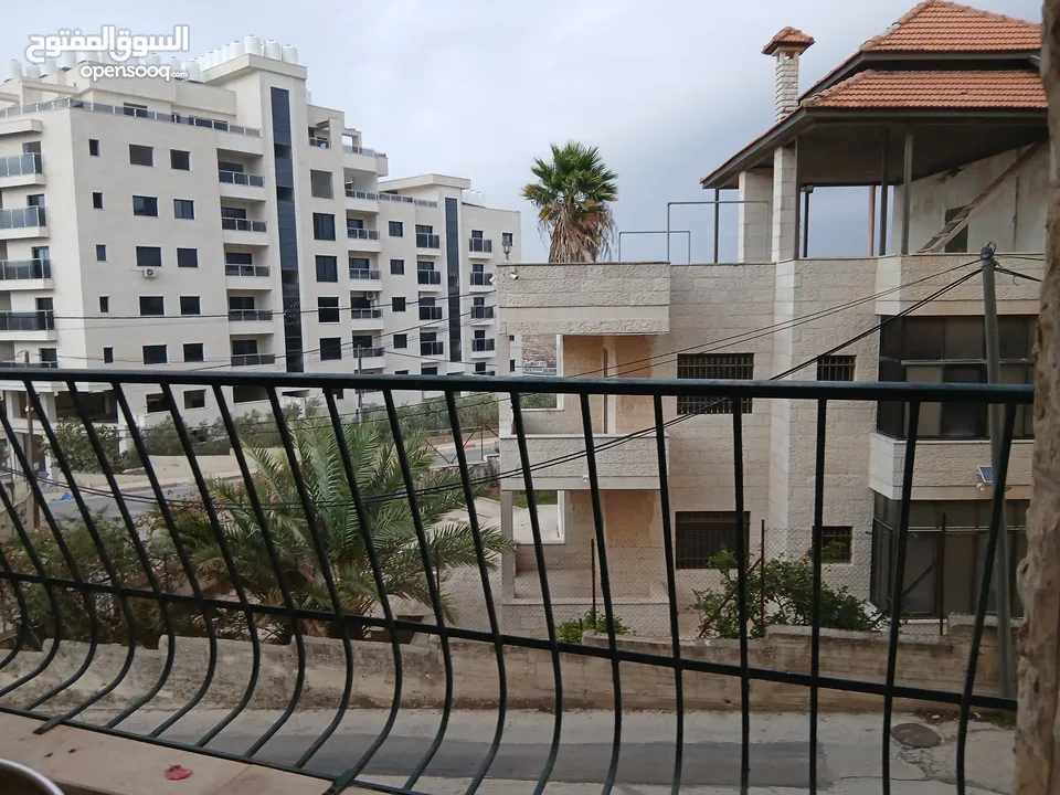 شقة مفروشة للإيجار