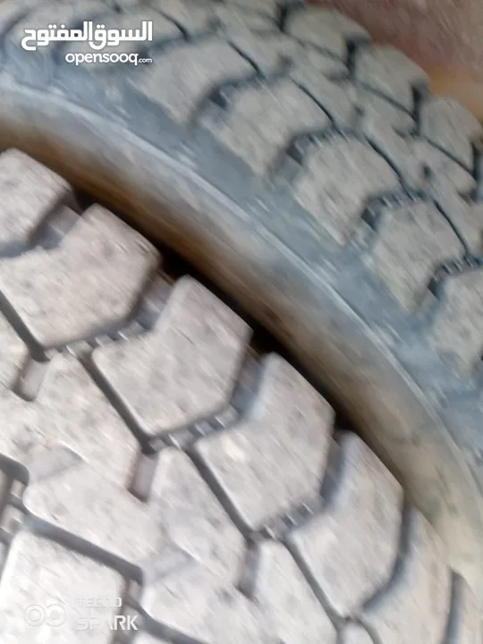 قلاب فطس للبيع