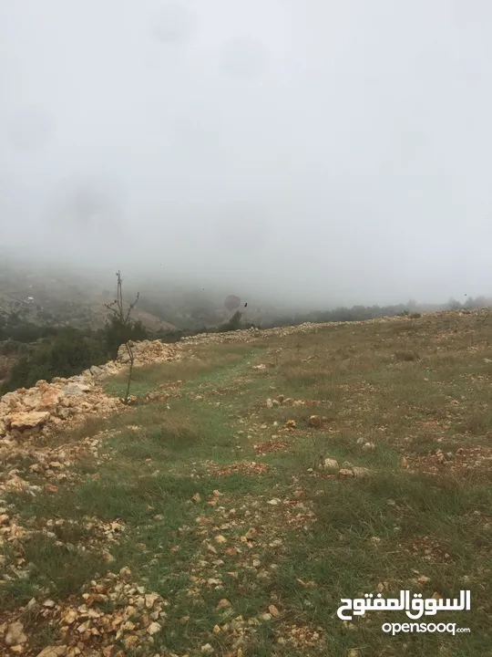 فرصة استثمارية! أرض زراعية مميزة بسعر مغري و بالقرب من أحراش الدولة للمزيد من المعلومات اقرأ الوصف