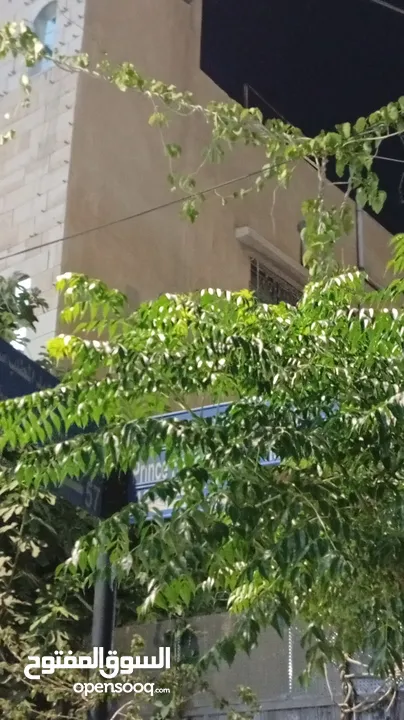 بيت للأيجار