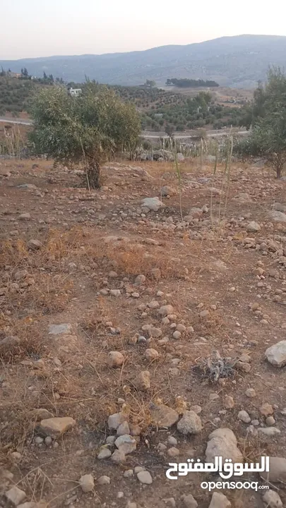 أرض ذات إطلالة خلابة في أجمل مناطق جرش