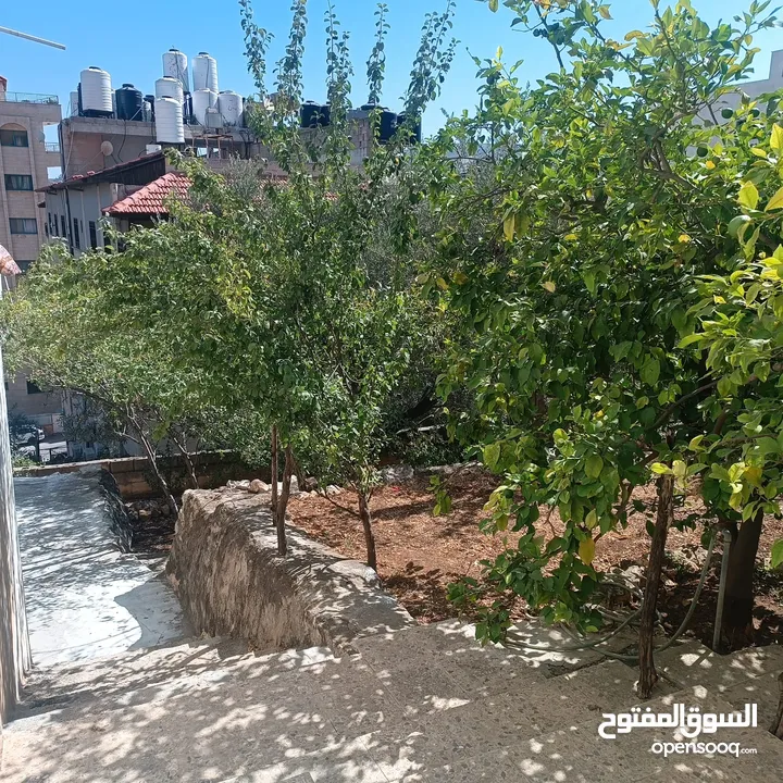 شقة صغيرة مستقلة للطالبات