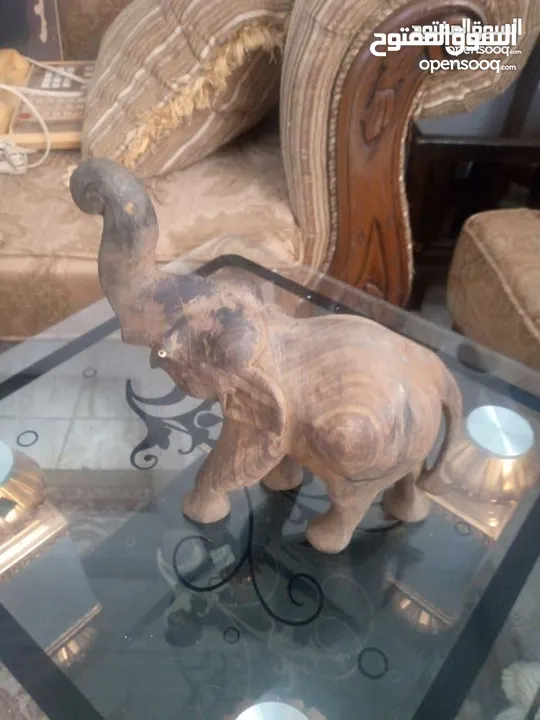 مناظر حيوانات للبيع بسعر مغري