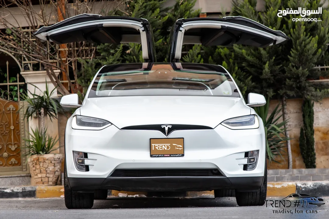 Tesla Model X 100D  2018