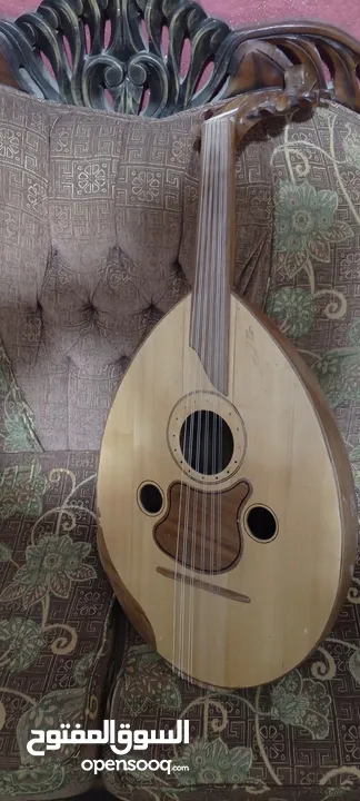 عود  خشب جوز