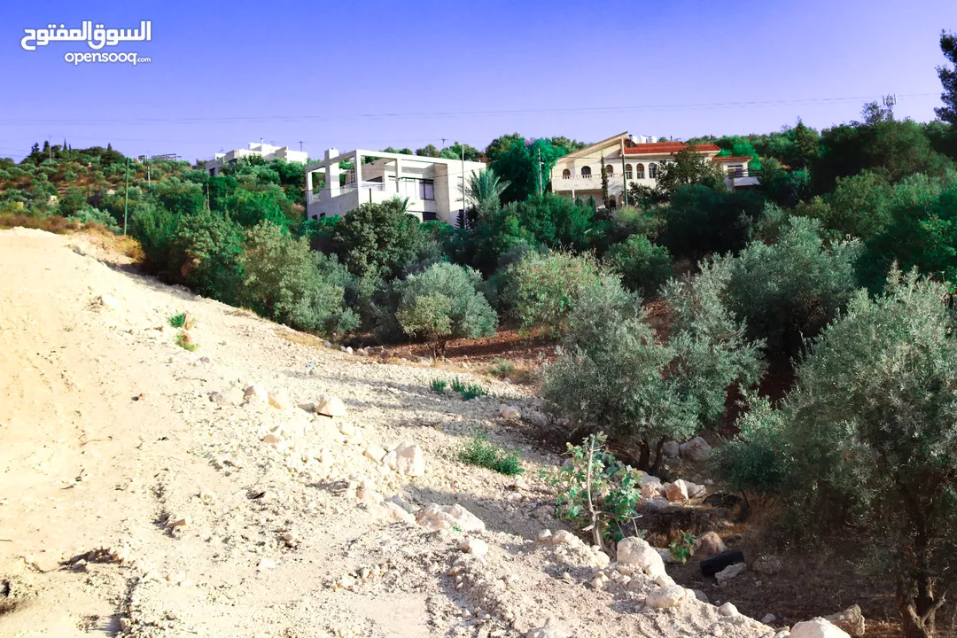 الأردن-عمان الغربيه - بدرالجديدة -الكاشف ارض مميزه للبيع 1200م باطلاله غربيه عاليه وجميله جدا