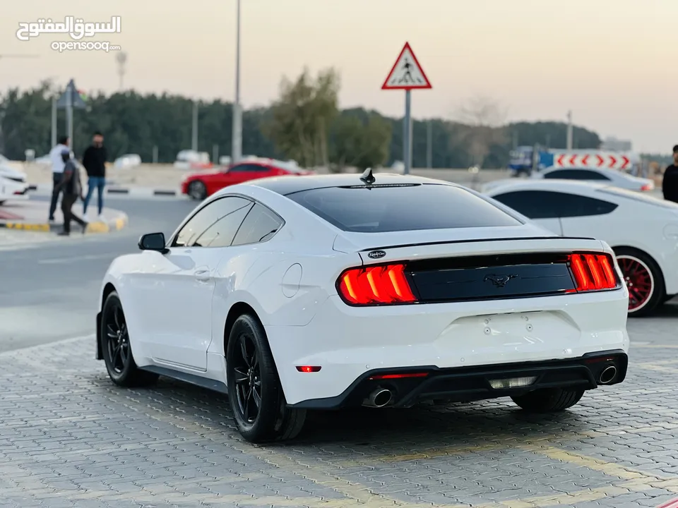FORD MUSTANG ECOBOOST 2022 / SHELBY KIT