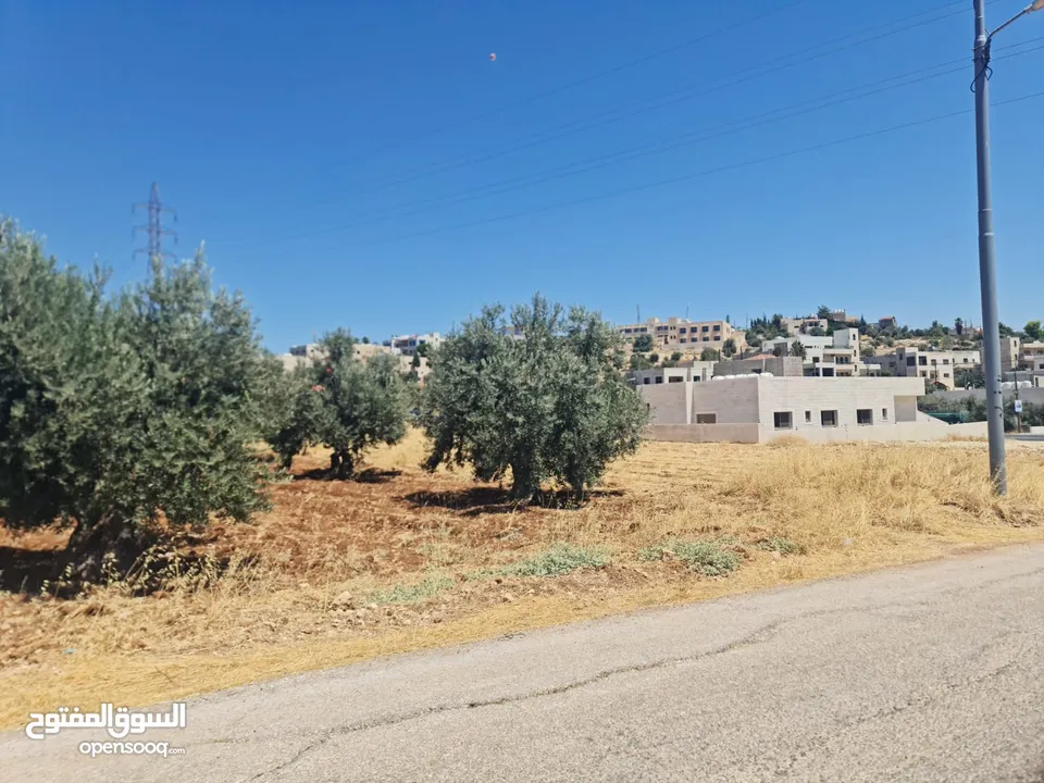 ارض للبيع 529م في اجمل مناطق المملكه بدر الجديده (الغروس الغربي)