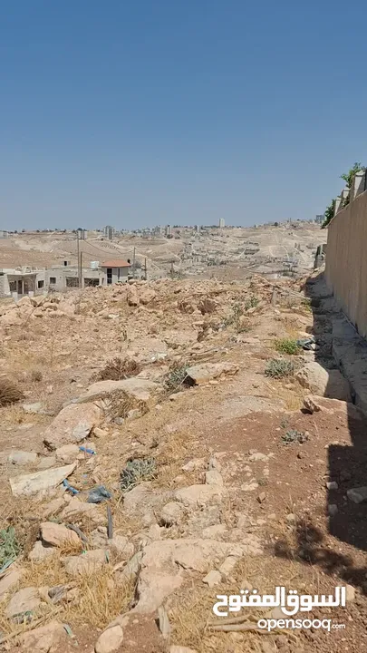 قطعة ارض للبيع في مرج الغزلان