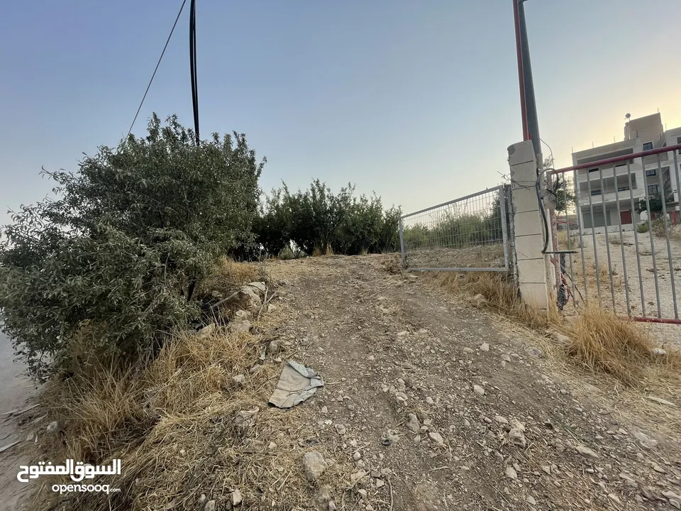 ارض للبيع بنص السعر و دقيقة عن خط ستين و 10 دقايق عن راس الجورة ، موقع ممتاز واصل كافة الخدمات