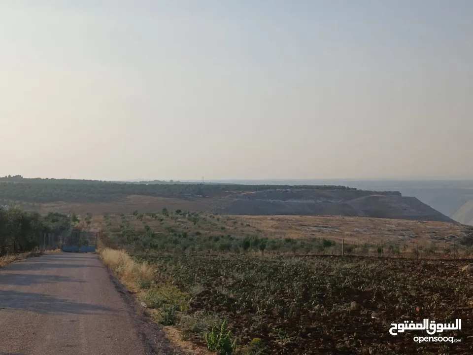 مزرعه أربعه دونم مشيكه بالكامل ارض زراعيه وبيت ريفي غرفتين وحمام ومطبخ صغير وباربكيو وساحه واسعه