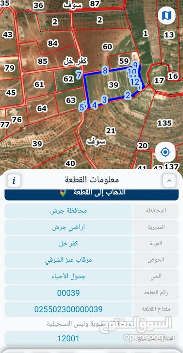 قطعة أرض مميزة 12 دونم في محافظة جرش / كفر خل بسعر مميز