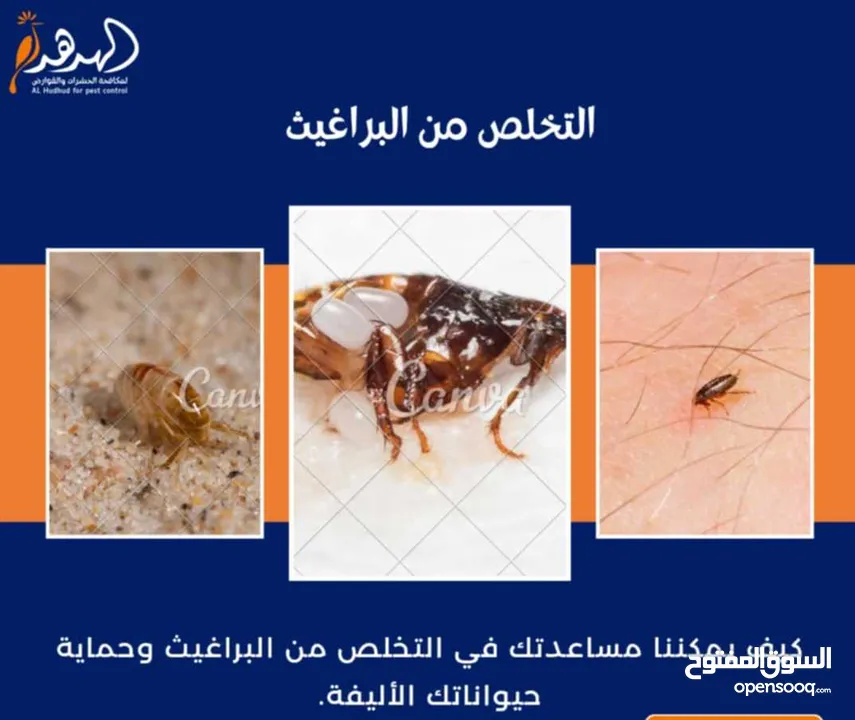 شركة الهدهد لمكافحة الحشرات والقوارض والتعقيم وتنسيق الحدائق وخدمات النظافة بخدمتكم