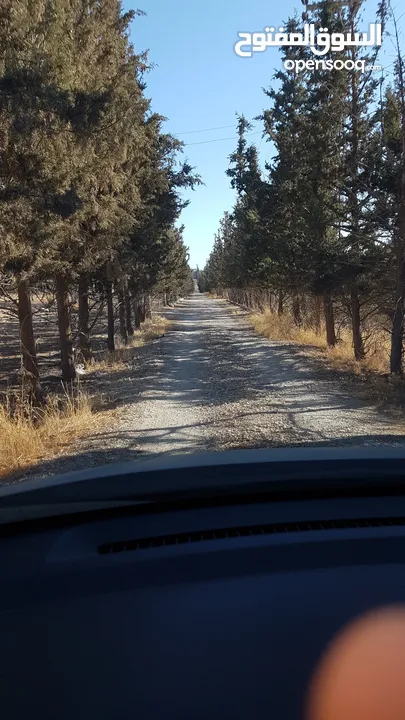 مزرعة للبيع ، بها بيت