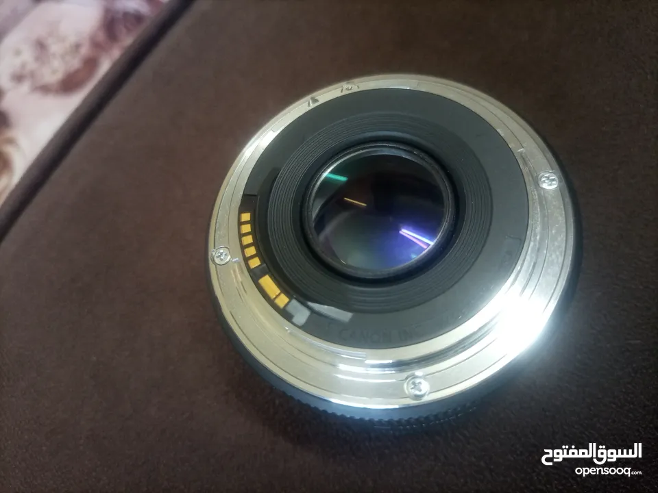 عدسة كانون 50mm stm