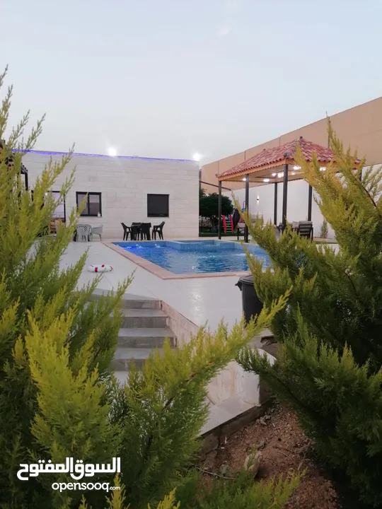 مزرعه اللؤلؤه
