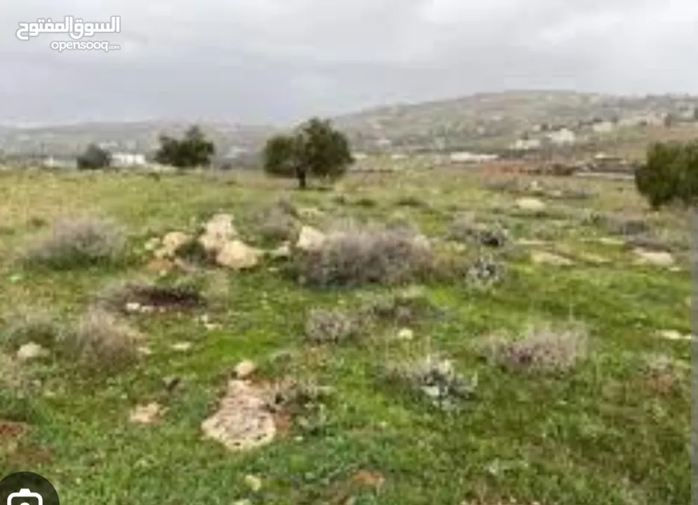 أرض لها إطلالة ساحرة .كاشفة الطيبة