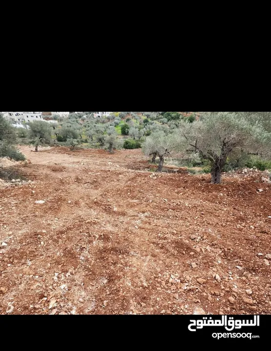 قطعة ارض من اراضي عين سينيا تصنيف تجاري