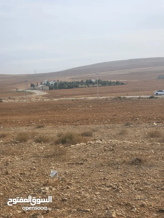 للبيع قطعه ارض مساحته 21 دنم المفرق الفدين