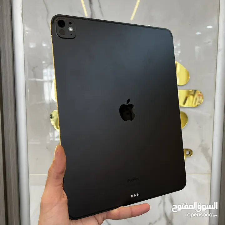 iPad Pro 13-inch (M4) Wi-Fi + Cellular Battery  : 100%