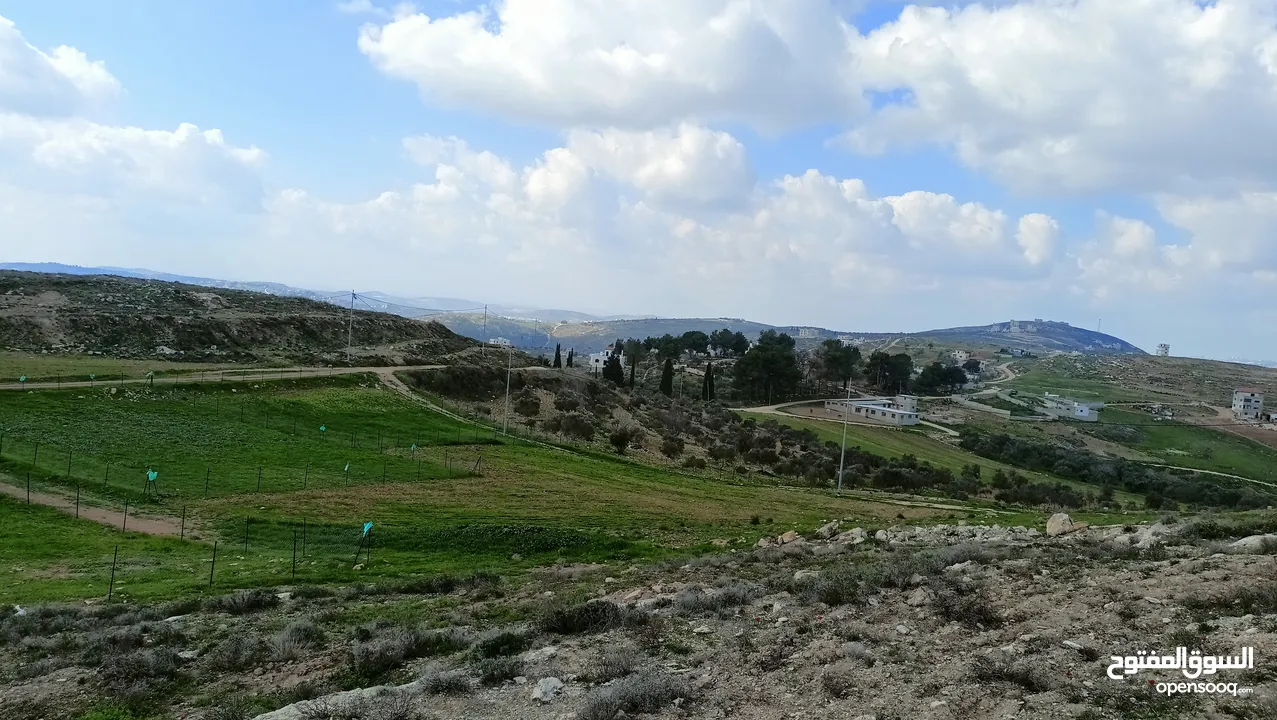 نمرتين ارض للبيع