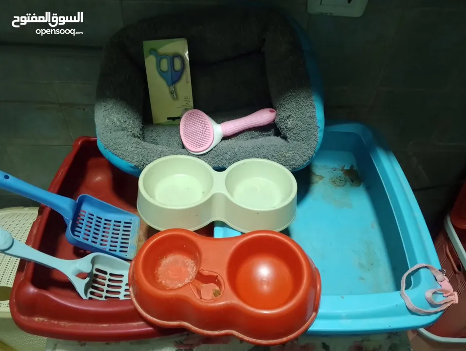 أغراض قطط زي يلي بصوره
