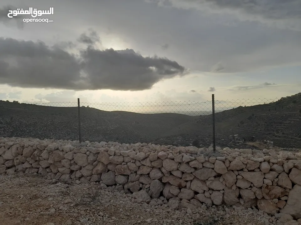 1800م ارض في خرسة دورا الخليل