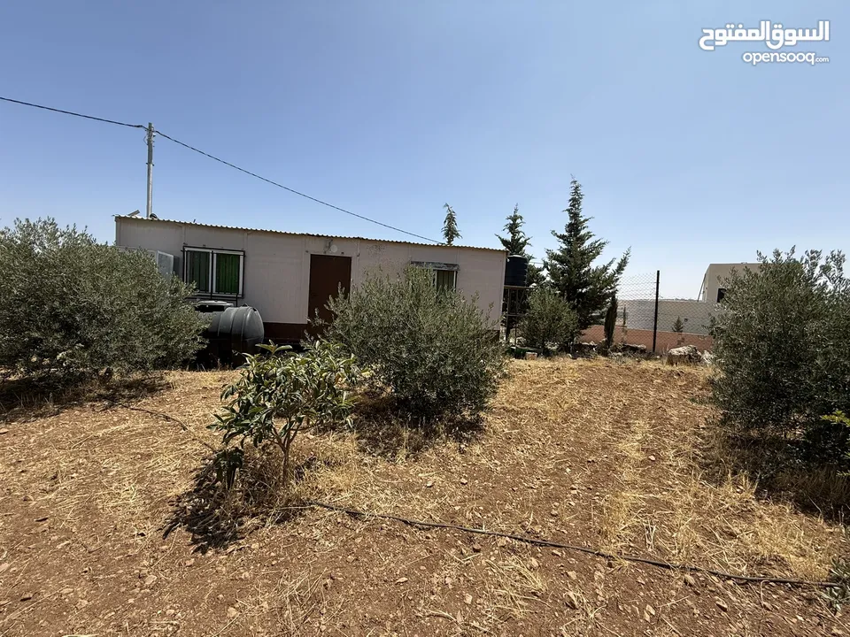 مزرعة للبيع