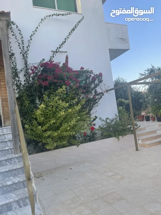 ارض دونم مع بيت ارضي وبيت طابقين