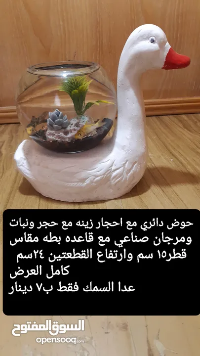 حواض مع قاعده