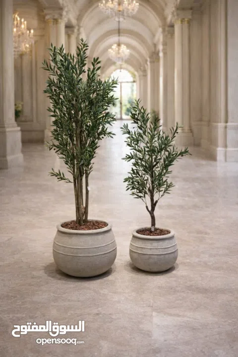 قووير جميع الاشكال والالوان