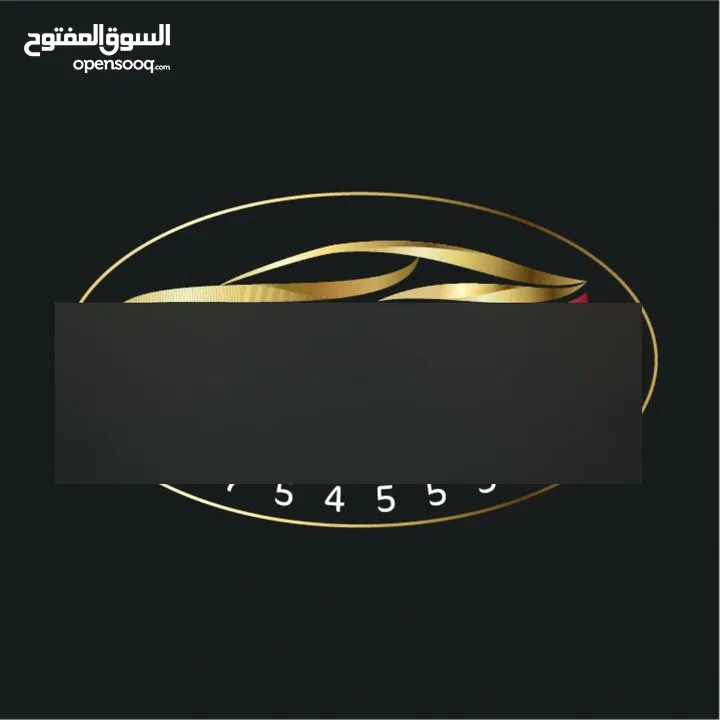 تيسلا مودل 3 2023 ستاندر بلس فحص كامل ممشى 10 الاف فقط  Tesla model3 2023