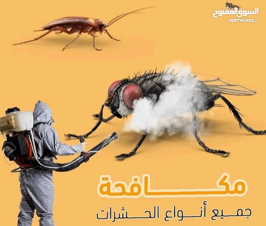 مكافحة الحشرات جميع انواع الحشرات رش أشجار بيوت فلل محلات  عروض الصيف