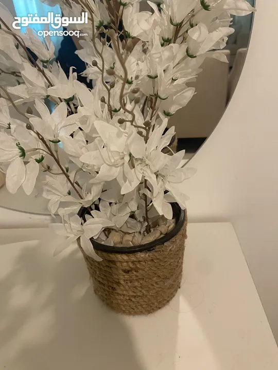 اغراض متنوعة للبيت واحذية